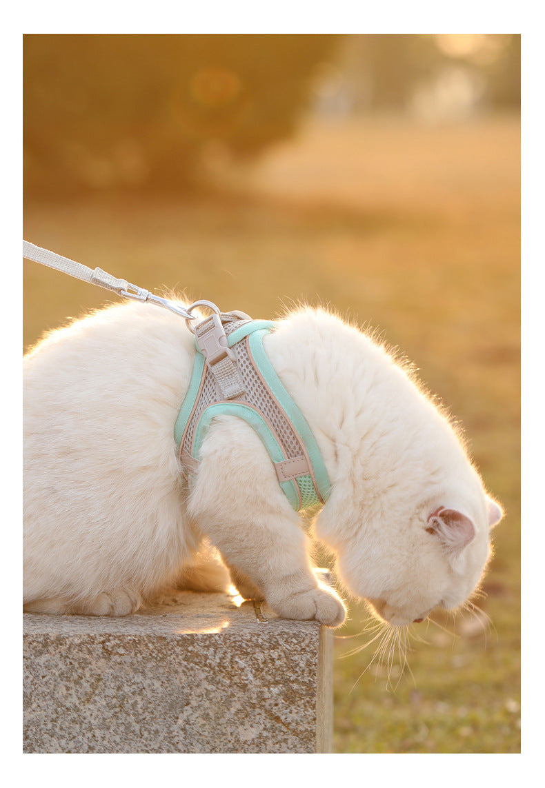 All-in-One Pet Harness Set