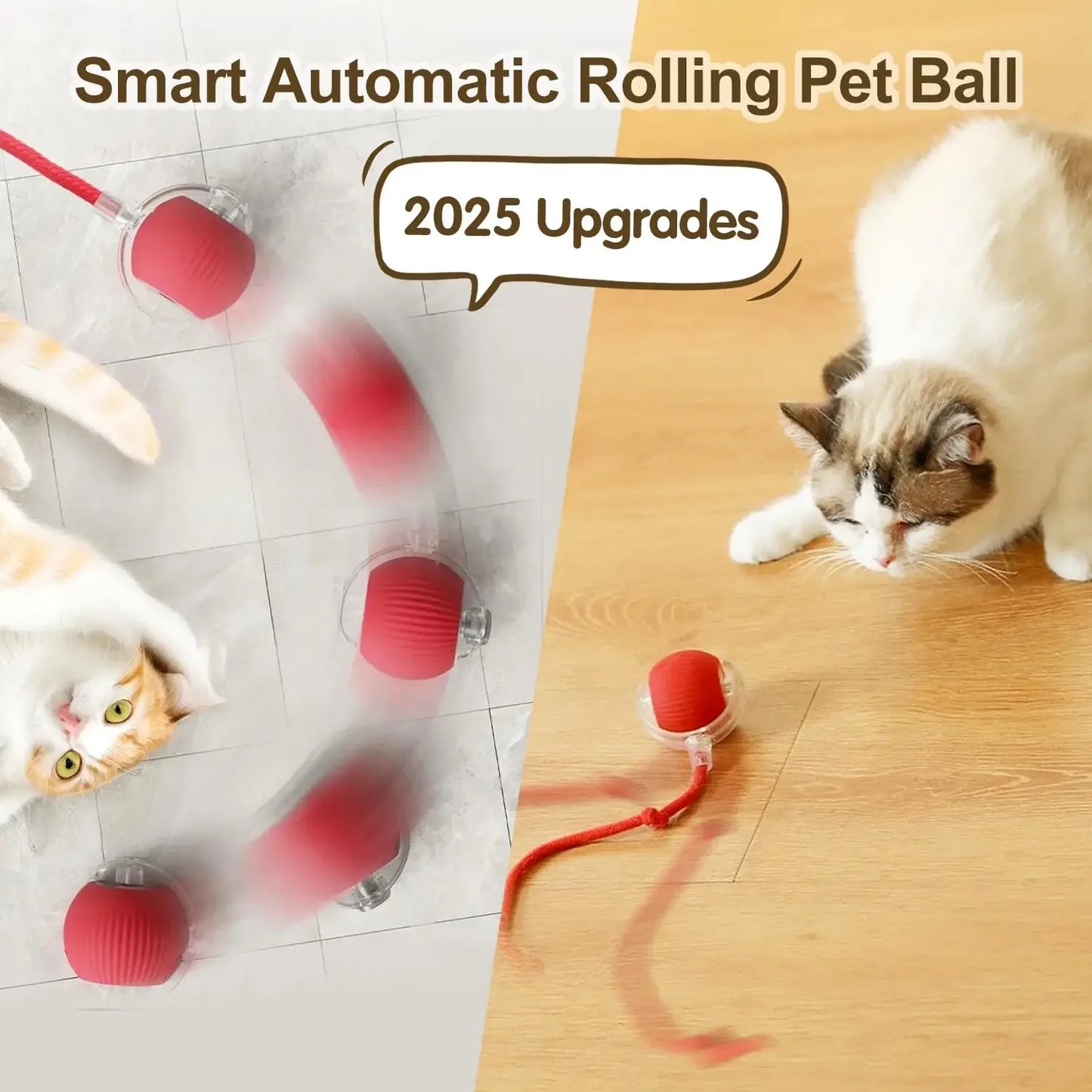 Smart Cat Play Ball