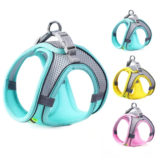 All-in-One Pet Harness Set