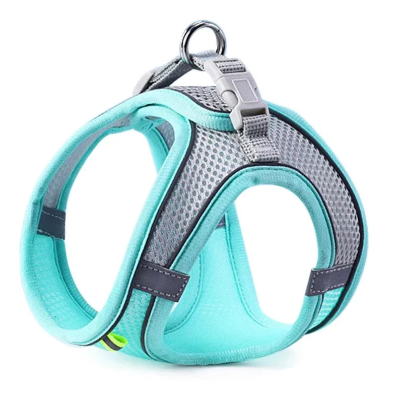 All-in-One Pet Harness Set