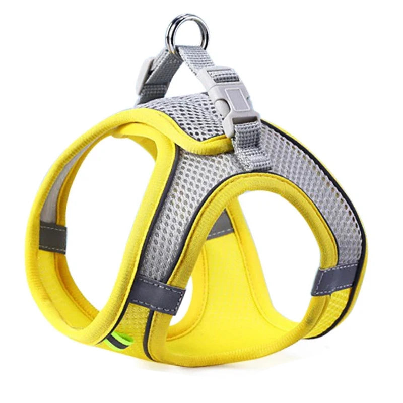 All-in-One Pet Harness Set