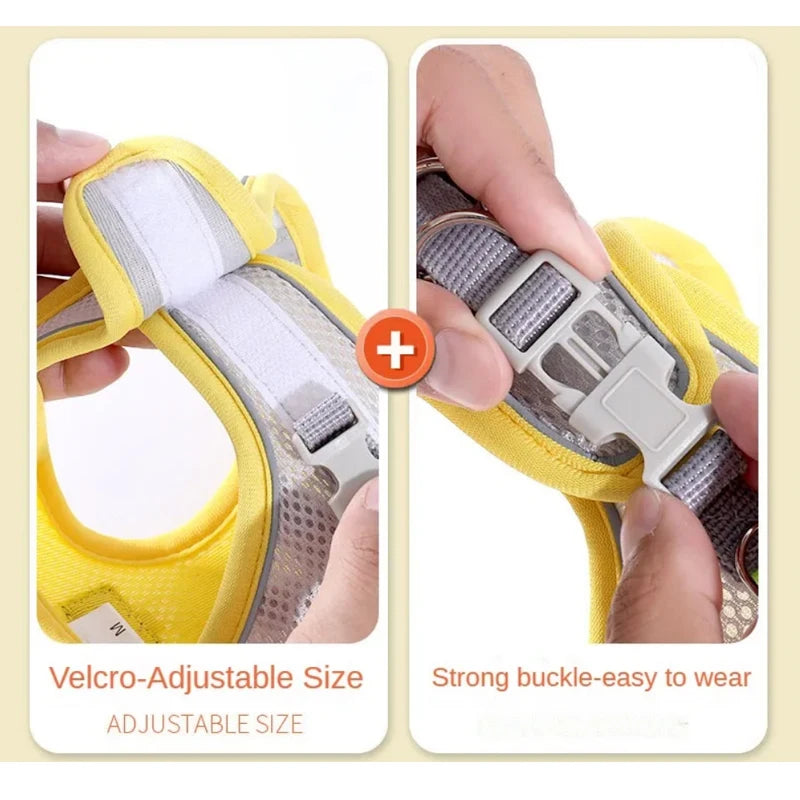 All-in-One Pet Harness Set