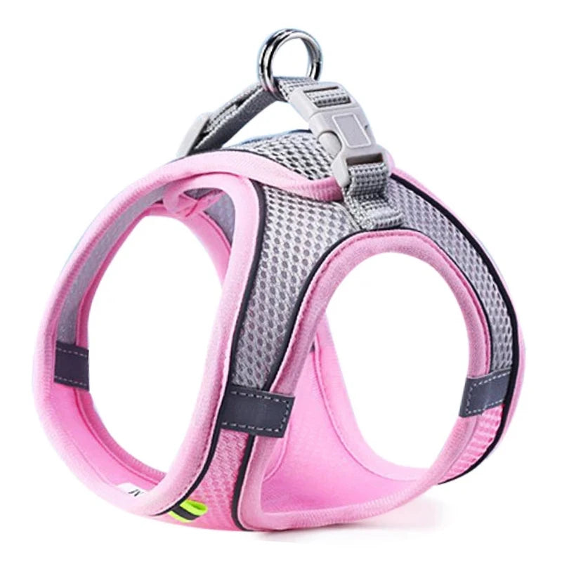 All-in-One Pet Harness Set