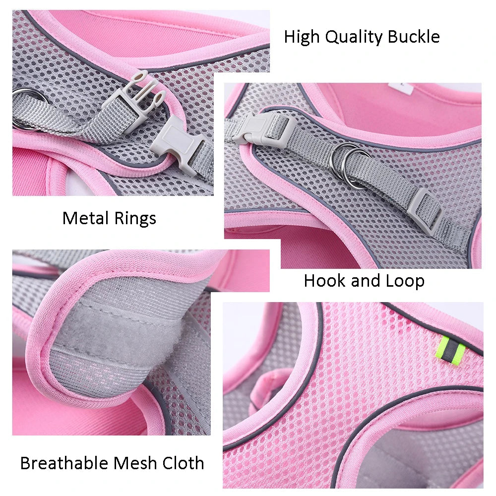 All-in-One Pet Harness Set